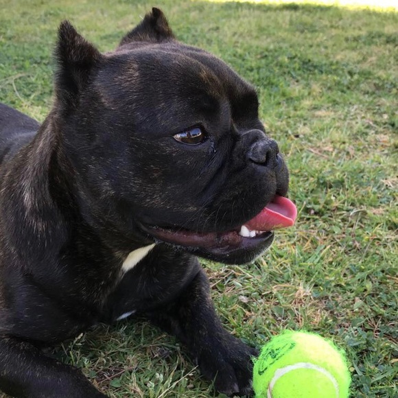 Meet your Posher, Cristal - Picture 1 of 1